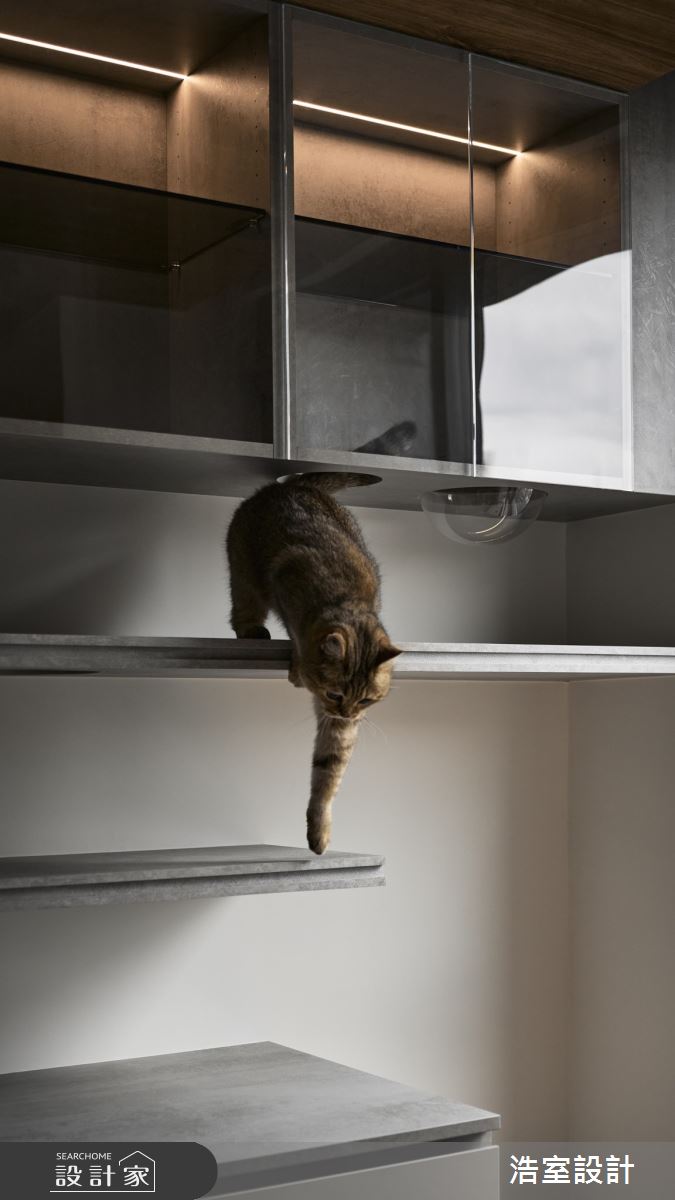 20坪新成屋(5年以下)＿混搭風書房案例圖片＿浩室設計＿浩室_巧趣軌跡。貓語之5