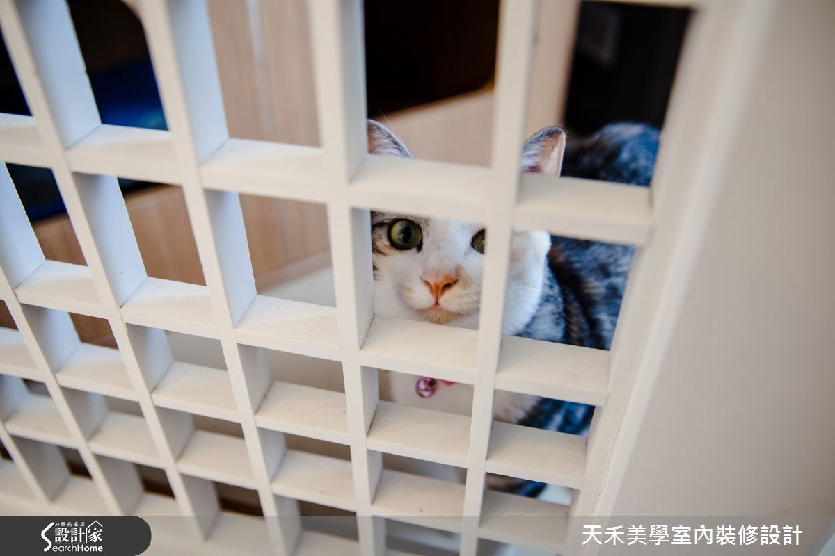 35坪老屋(16~30年)＿休閒風商業空間案例圖片＿天禾美學室內裝修設計有限公司＿天禾美學_05之37