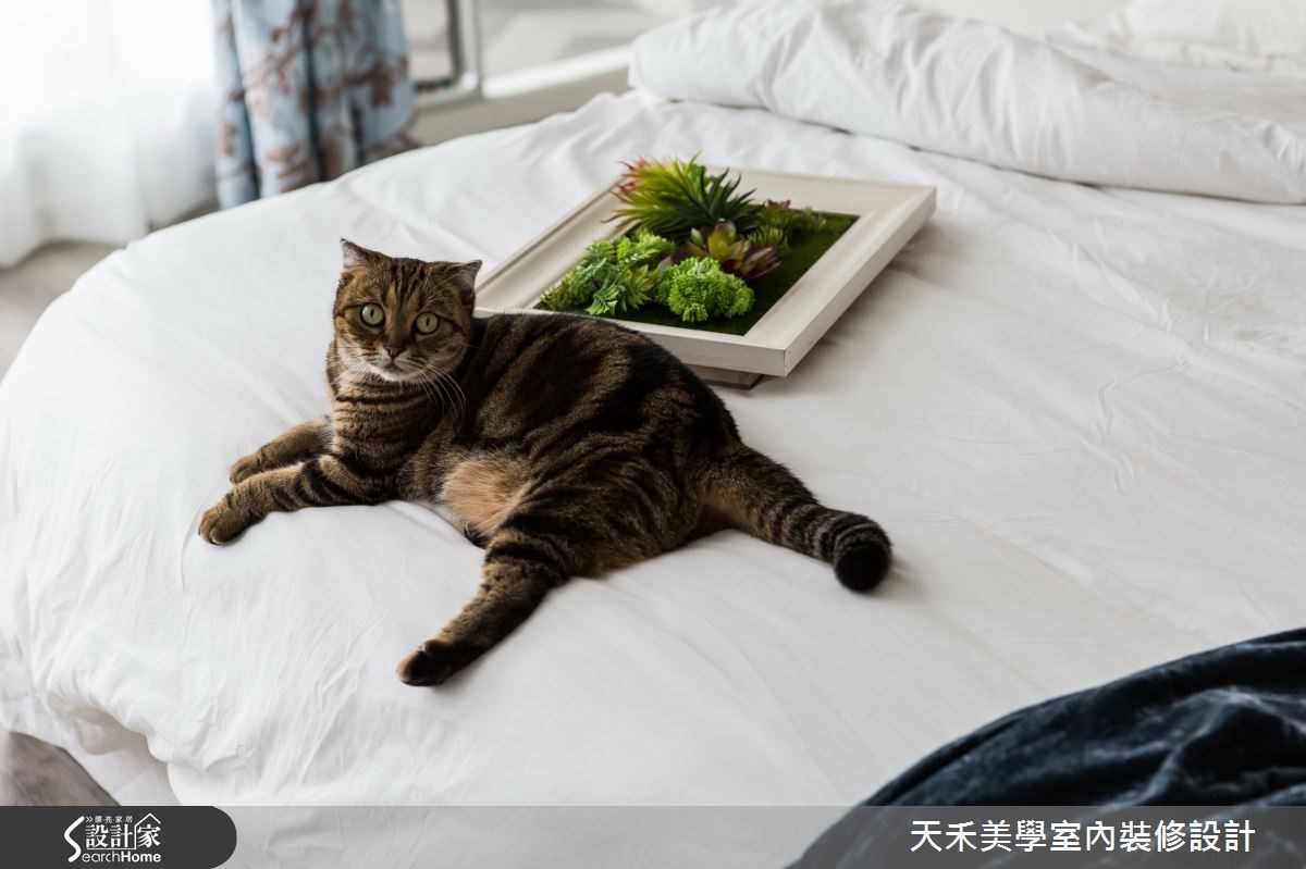 20坪老屋(16~30年)＿北歐風臥室案例圖片＿天禾美學室內裝修設計有限公司＿天禾美學_08之7