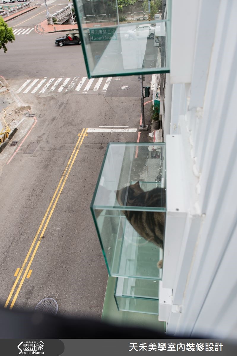 20坪老屋(16~30年)＿北歐風寵物案例圖片＿天禾美學室內裝修設計有限公司＿天禾美學_08之10