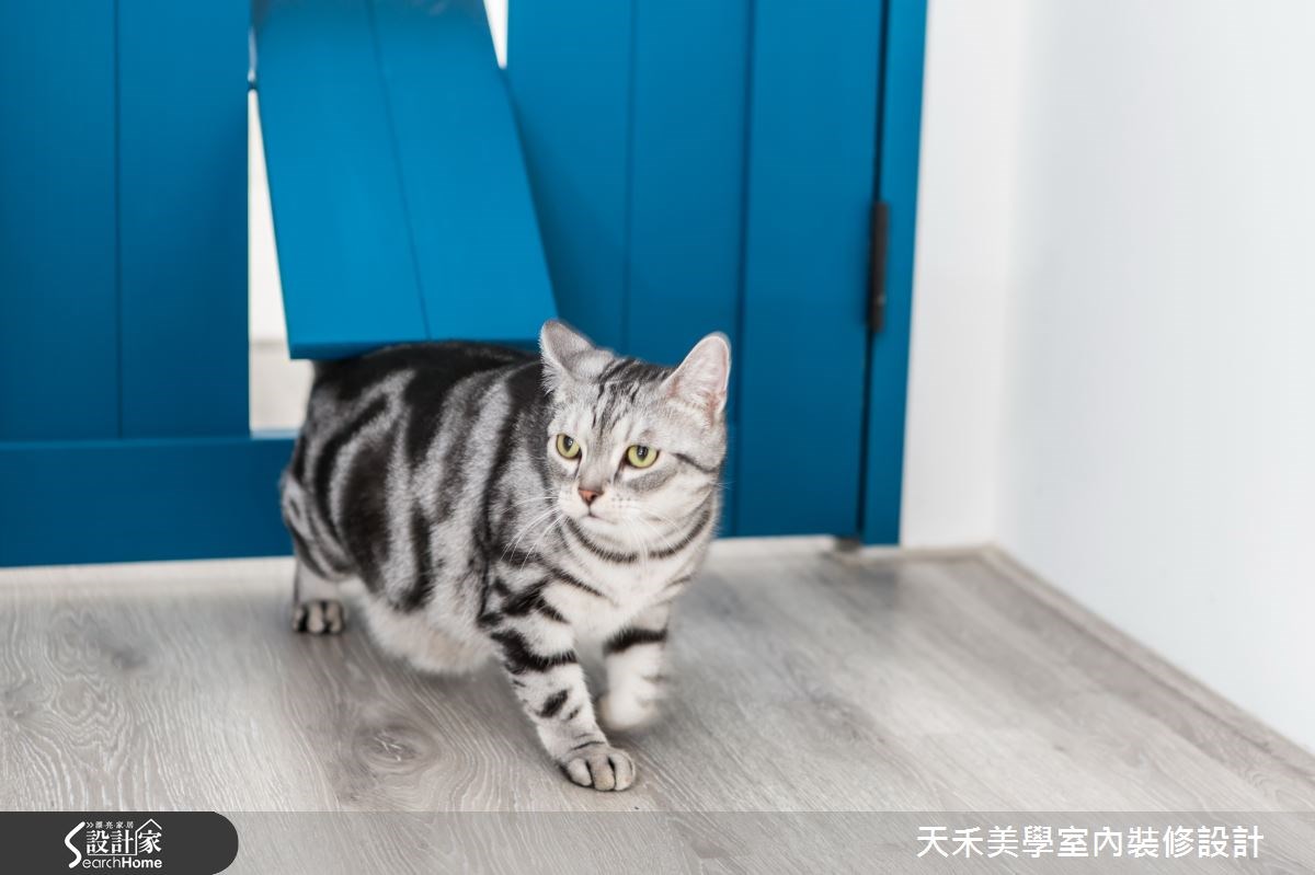 20坪老屋(16~30年)＿北歐風玄關案例圖片＿天禾美學室內裝修設計有限公司＿天禾美學_08之28