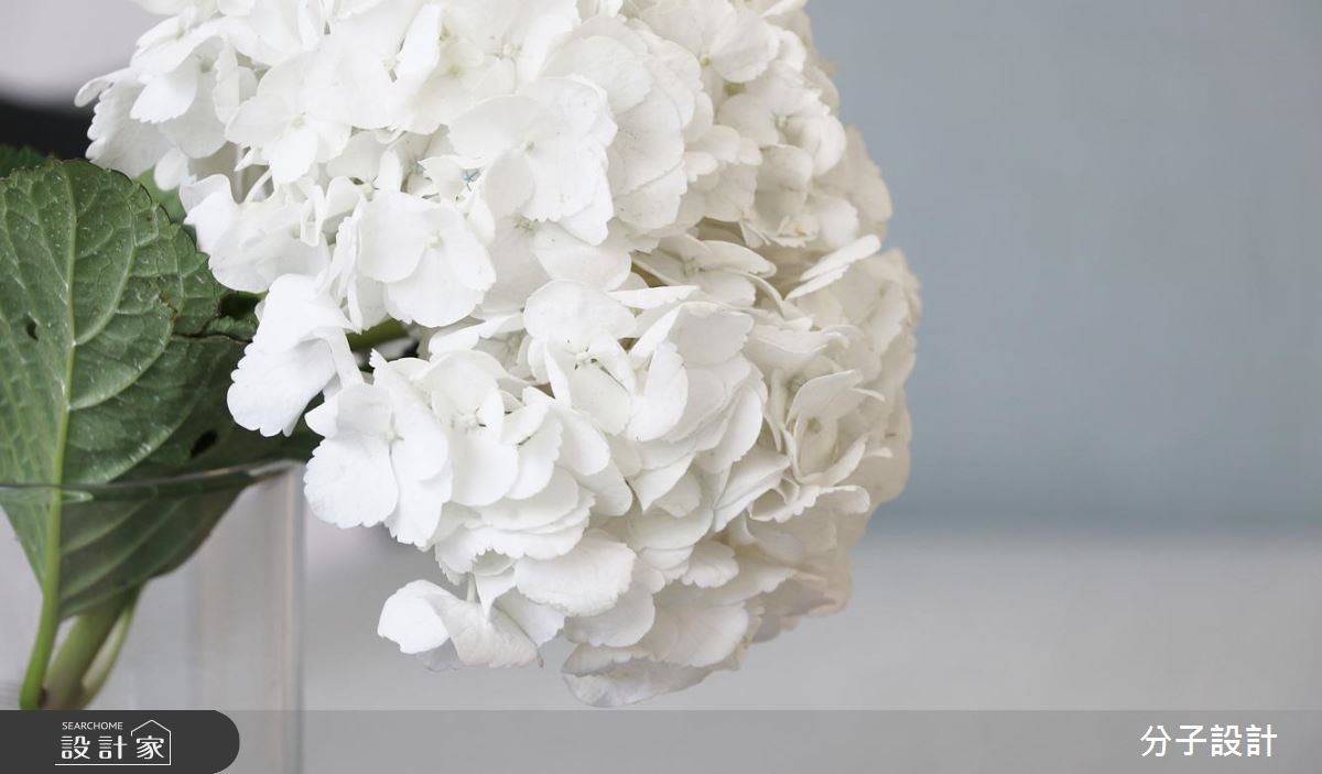 30坪新成屋(5年以下)＿簡約風商業空間案例圖片＿分子設計＿分子_25之13