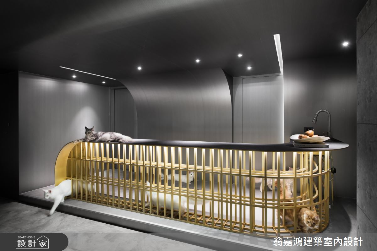 20坪中古屋(5~15年)＿工業風商業空間案例圖片＿翁嘉鴻建築室內設計｜懷生設計＿懷生_59.三重-Rm&Sanmu 緬因貓舍概念館之4