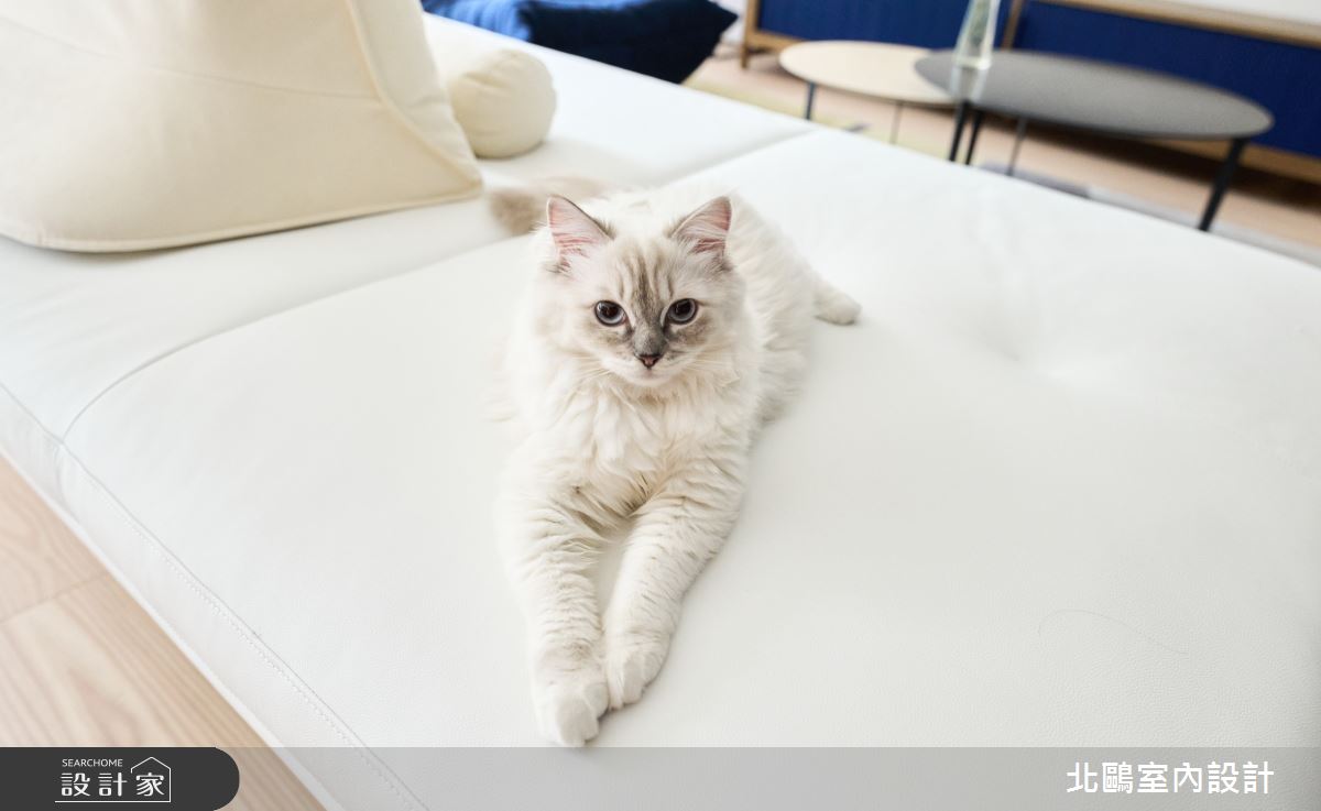 中古屋(5~15年)＿北歐風客廳案例圖片＿北鷗室內設計＿北鷗_64Blue House之16