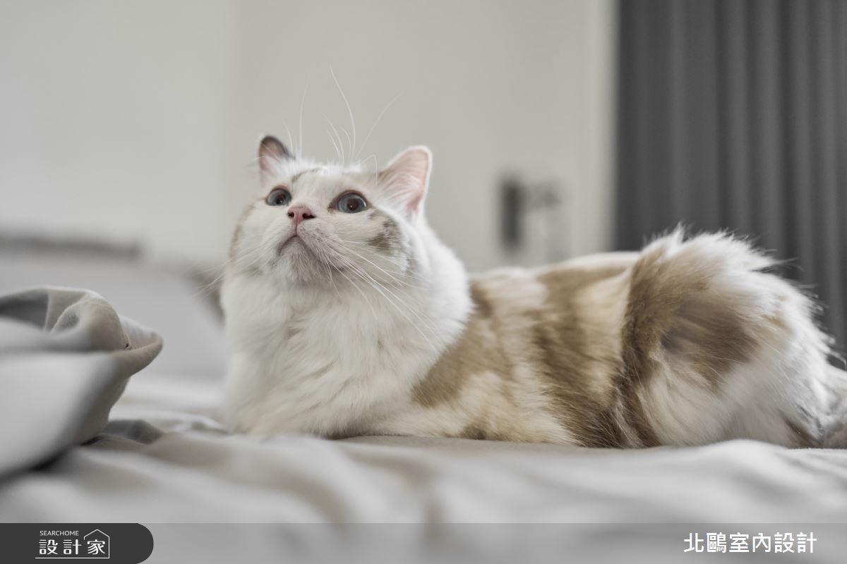17坪新成屋(5年以下)＿北歐風臥室案例圖片＿北鷗室內設計＿北鷗_65SuSu House之24