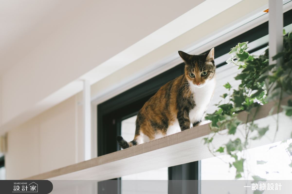 32坪新成屋(5年以下)＿日式混搭風案例圖片＿一畝綠設計＿一畝綠_42之14