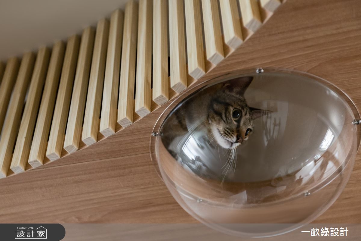 25坪新成屋(5年以下)＿日雜風寵物案例圖片＿一畝綠設計＿一畝綠_44之8