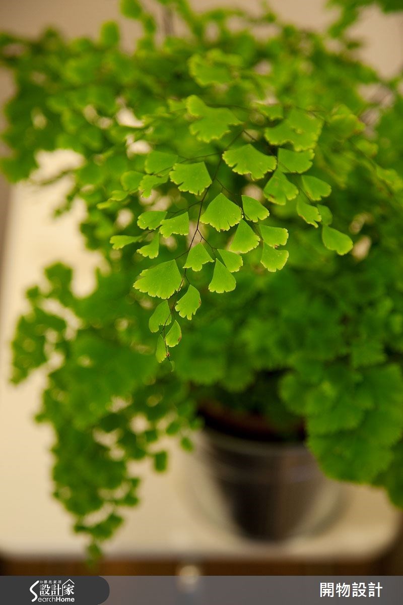 35坪老屋(16~30年)＿混搭風案例圖片＿開物設計＿開物_07之7