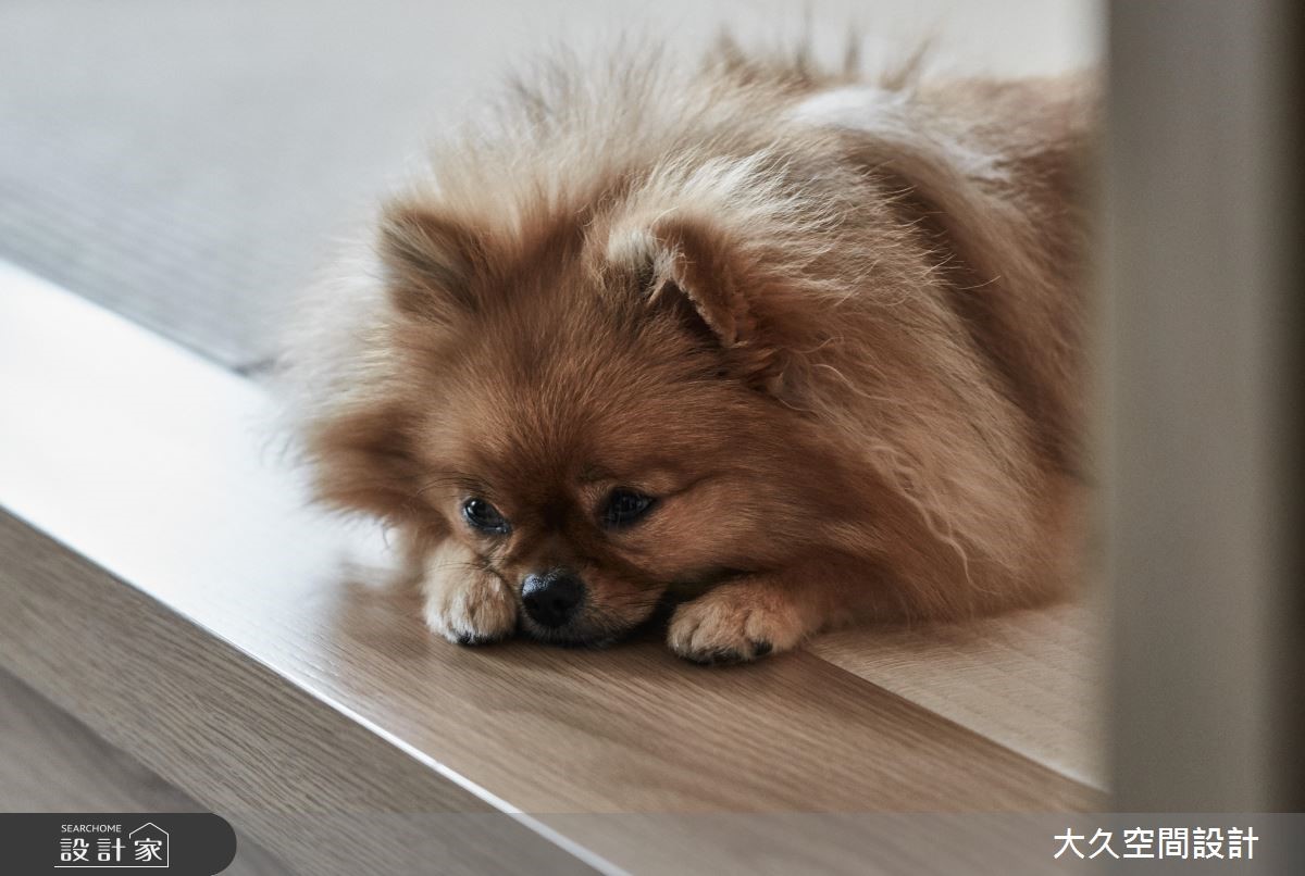 中古屋(5~15年)＿現代風案例圖片＿大久空間設計有限公司＿大久_18之12