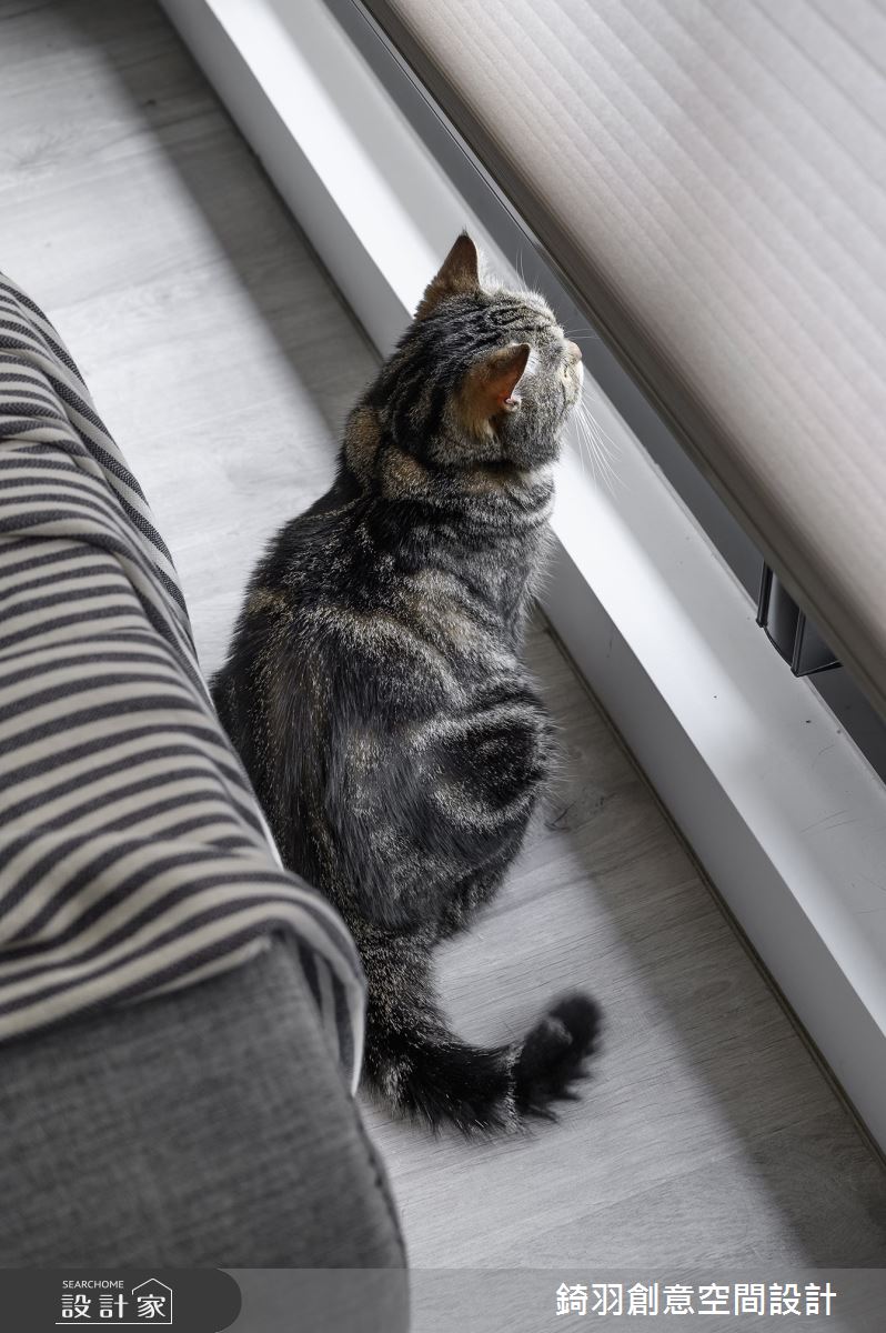 22坪新成屋(5年以下)＿現代風客廳案例圖片＿錡羽創意空間設計＿錡羽_42之20