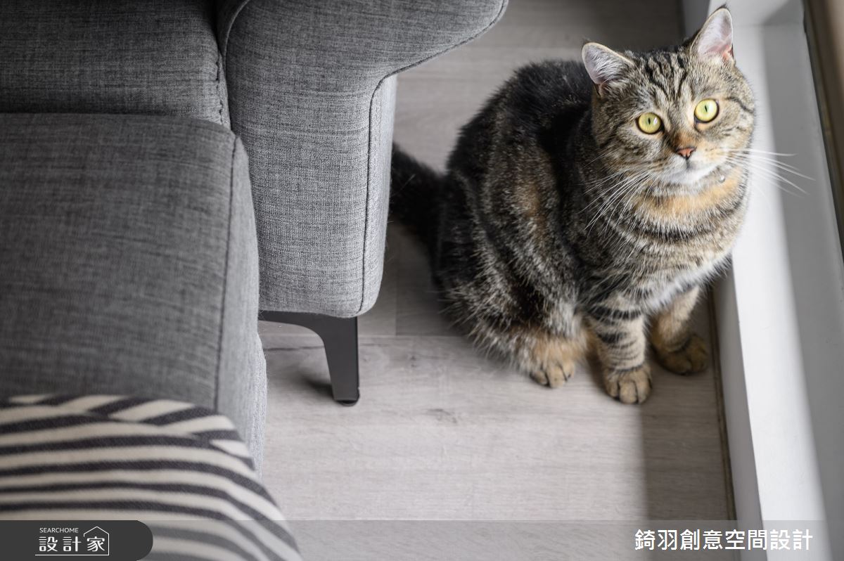 22坪新成屋(5年以下)＿現代風客廳案例圖片＿錡羽創意空間設計＿錡羽_42之19