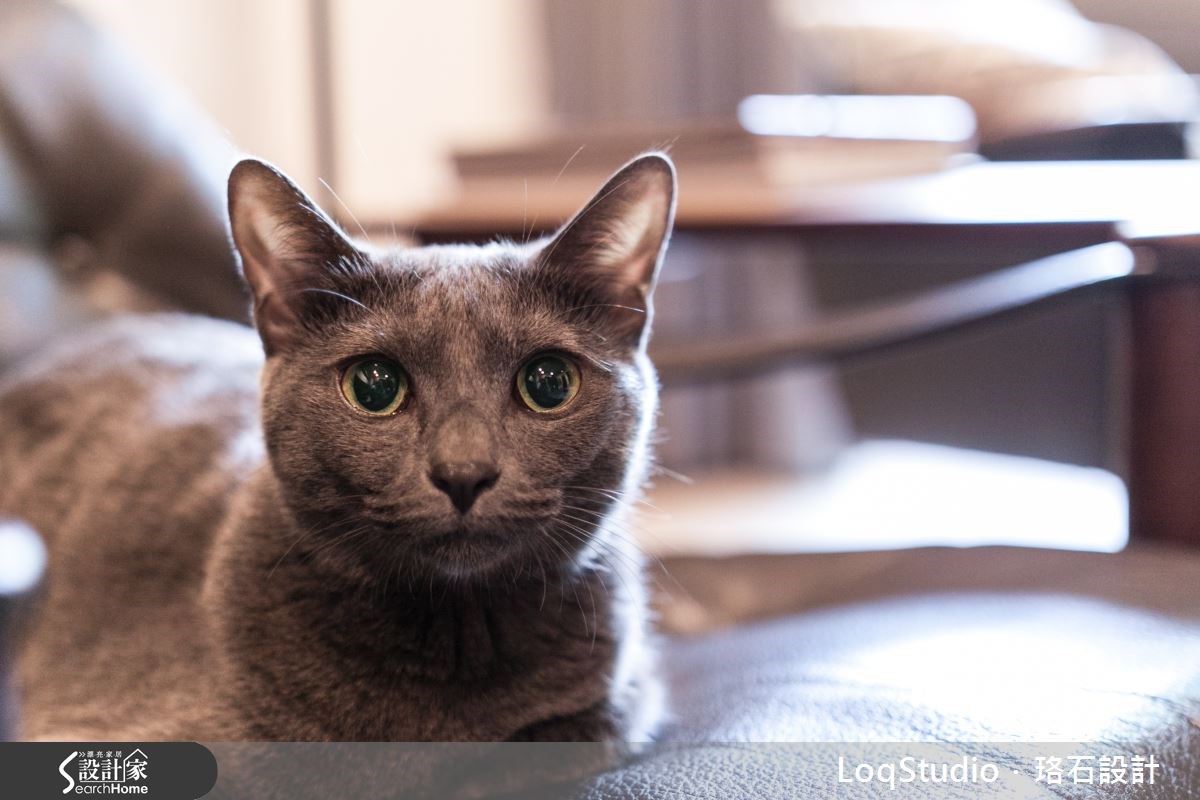 34坪中古屋(5~15年)＿工業風案例圖片＿珞石室內裝修有限公司＿珞石_03之28