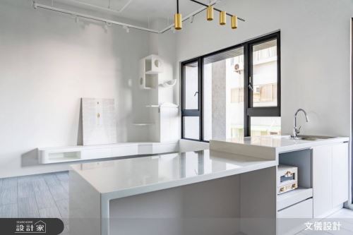 文儀_與貓的快意共棲_簡約風