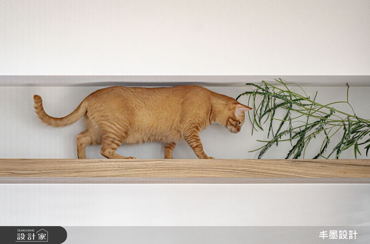 新成屋(5年以下)＿混搭風寵物案例圖片＿丰墨設計＿丰墨_26KOL之54