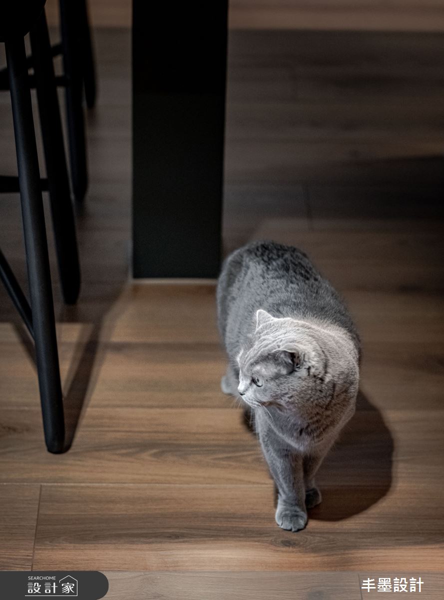 新成屋(5年以下)＿混搭風寵物案例圖片＿丰墨設計＿丰墨_26KOL之55