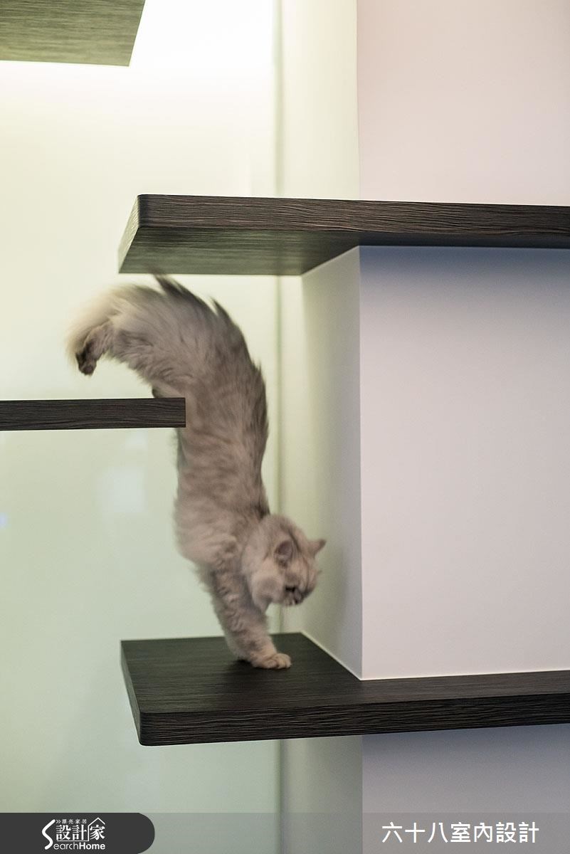 15坪中古屋(5~15年)＿混搭風寵物案例圖片＿六十八室內設計有限公司＿六十八_03之14