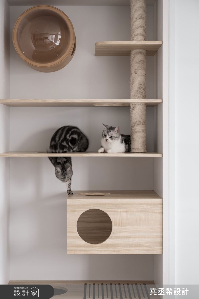 32坪新成屋(5年以下)＿現代北歐寵物案例圖片＿堯丞希設計＿堯丞希_67之6