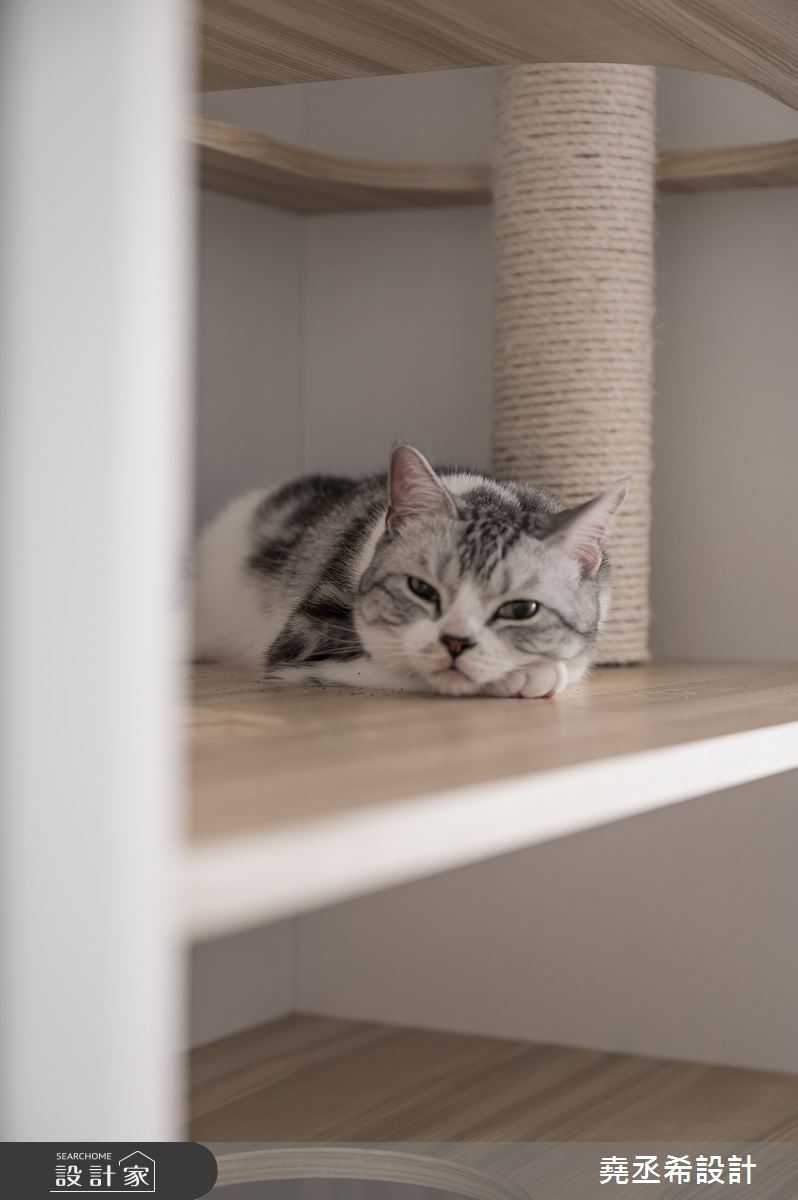 32坪新成屋(5年以下)＿現代北歐寵物案例圖片＿堯丞希設計＿堯丞希_67之7