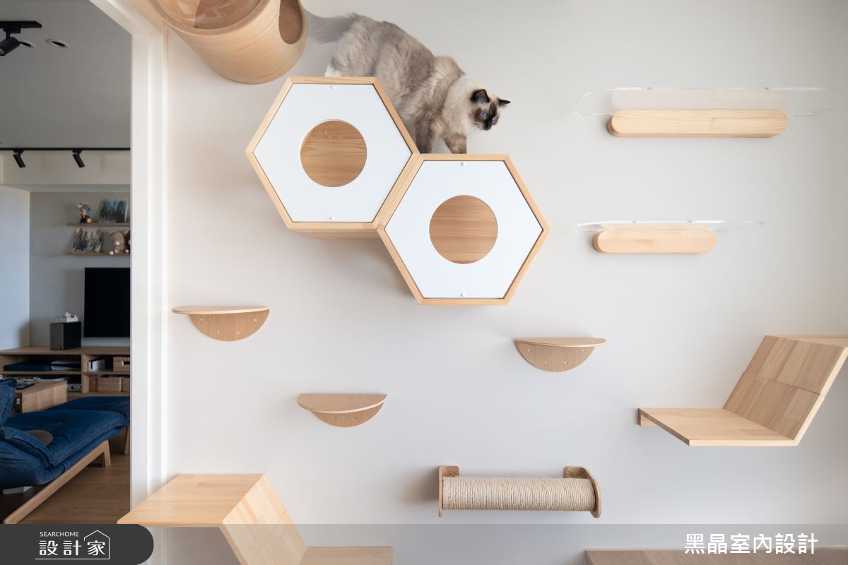 20坪新成屋(5年以下)＿日式無印風寵物案例圖片＿黑晶室內設計＿黑晶_46之21