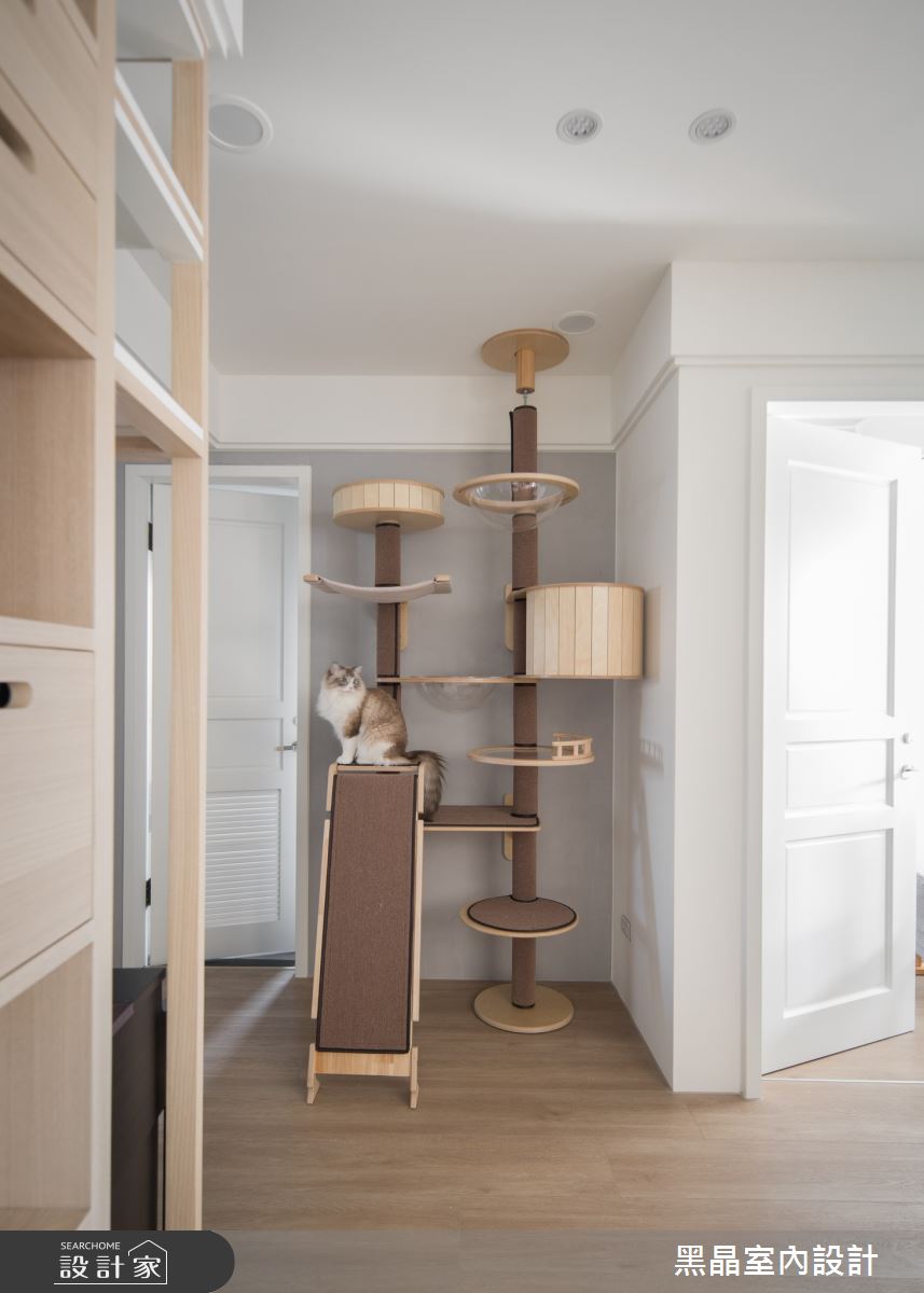 37坪新成屋(5年以下)＿現代風寵物案例圖片＿黑晶室內設計＿黑晶_66之14