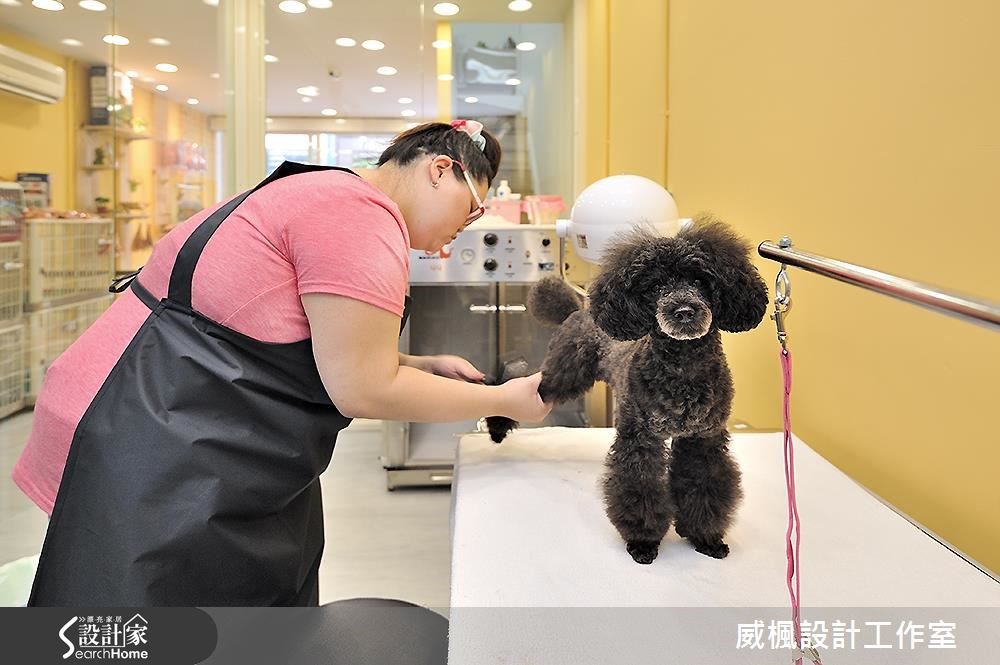 10坪新成屋(5年以下)＿休閒風商業空間案例圖片＿威楓設計＿威楓_11之14