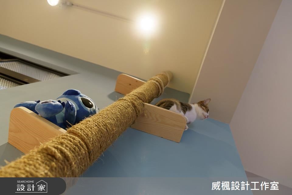 25坪中古屋(5~15年)＿北歐風寵物案例圖片＿威楓設計＿威楓_20之9