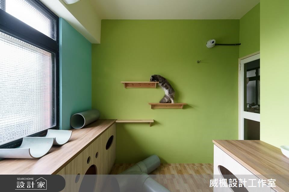 25坪中古屋(5~15年)＿北歐風寵物案例圖片＿威楓設計＿威楓_20之12