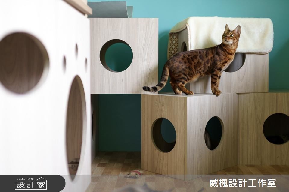25坪中古屋(5~15年)＿北歐風寵物案例圖片＿威楓設計＿威楓_20之13