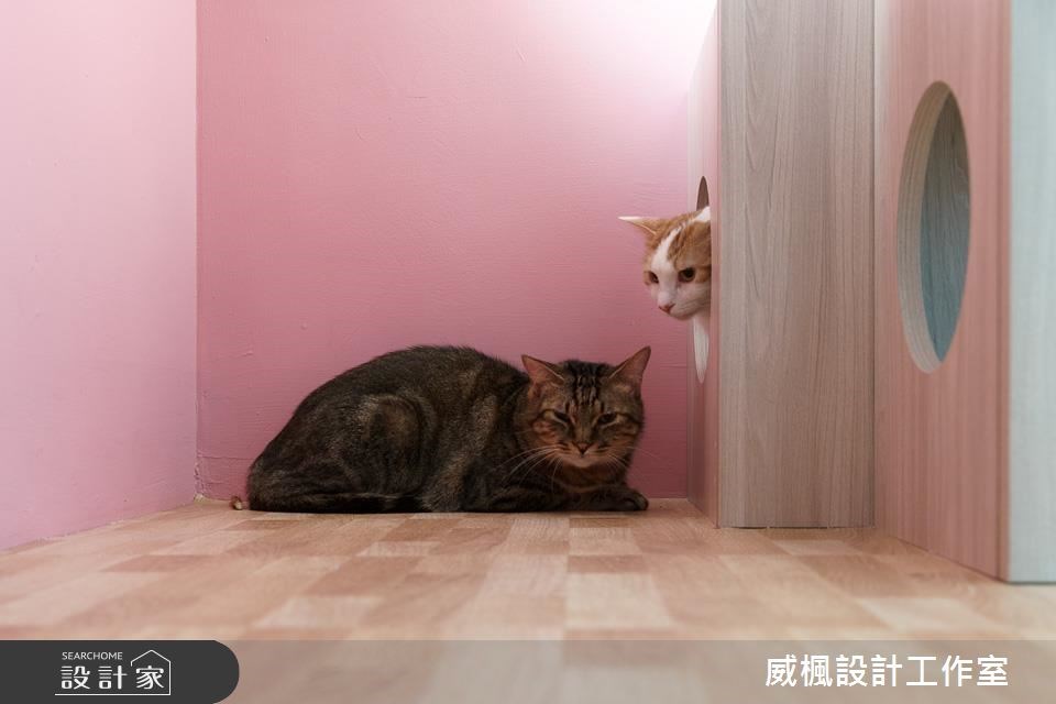 25坪中古屋(5~15年)＿北歐風寵物案例圖片＿威楓設計＿威楓_20之18