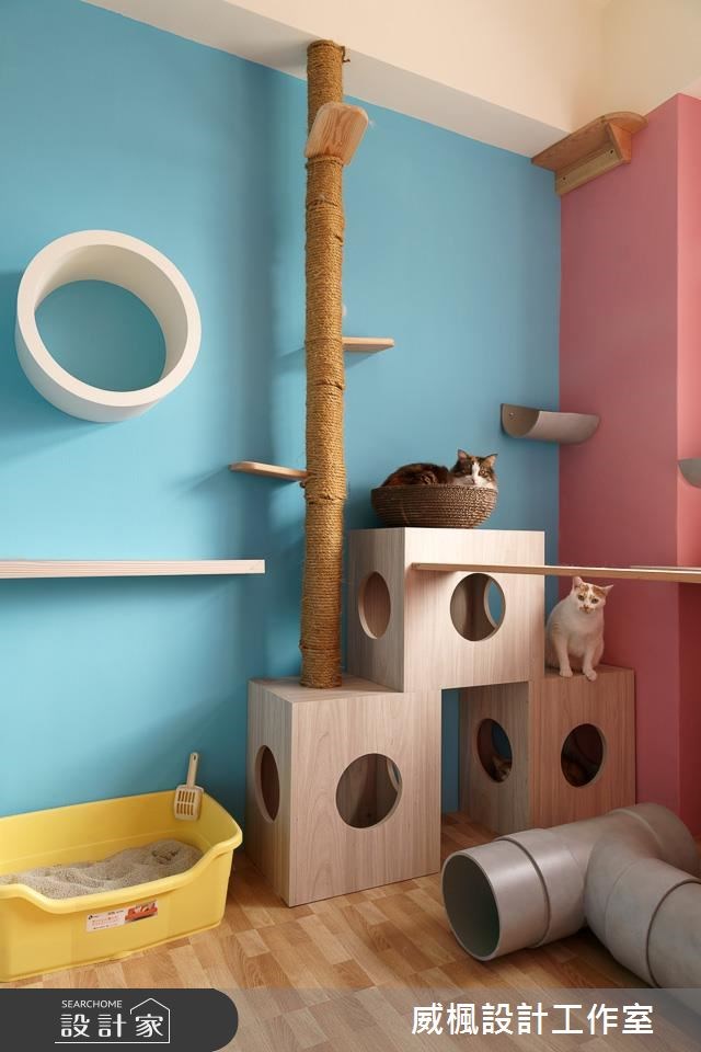 25坪中古屋(5~15年)＿北歐風寵物案例圖片＿威楓設計＿威楓_20之19
