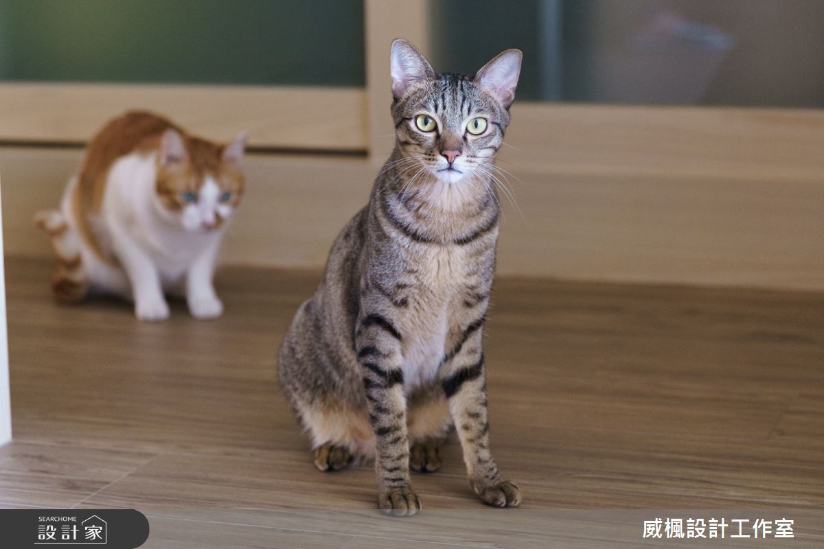 25坪老屋(16~30年)＿簡約風案例圖片＿威楓設計＿威楓_26之17