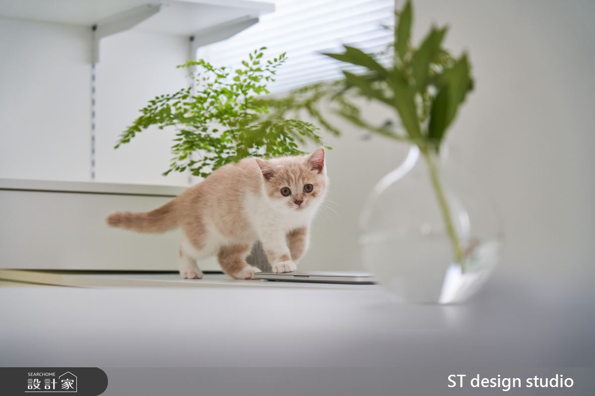 20坪新成屋(5年以下)＿簡約風案例圖片＿ST design studio＿ST_12之14