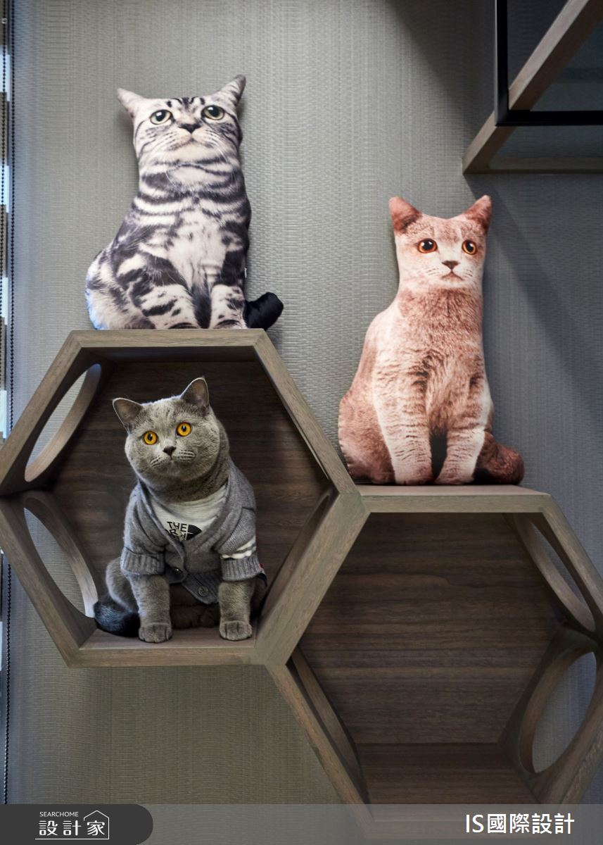 64坪毛胚屋＿現代風多功能室案例圖片＿IS國際設計＿IS_149之25