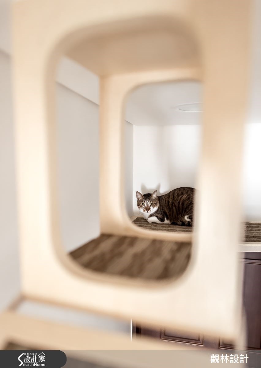 24坪新成屋(5年以下)＿休閒風客廳寵物案例圖片＿觀林設計＿觀林_36之13