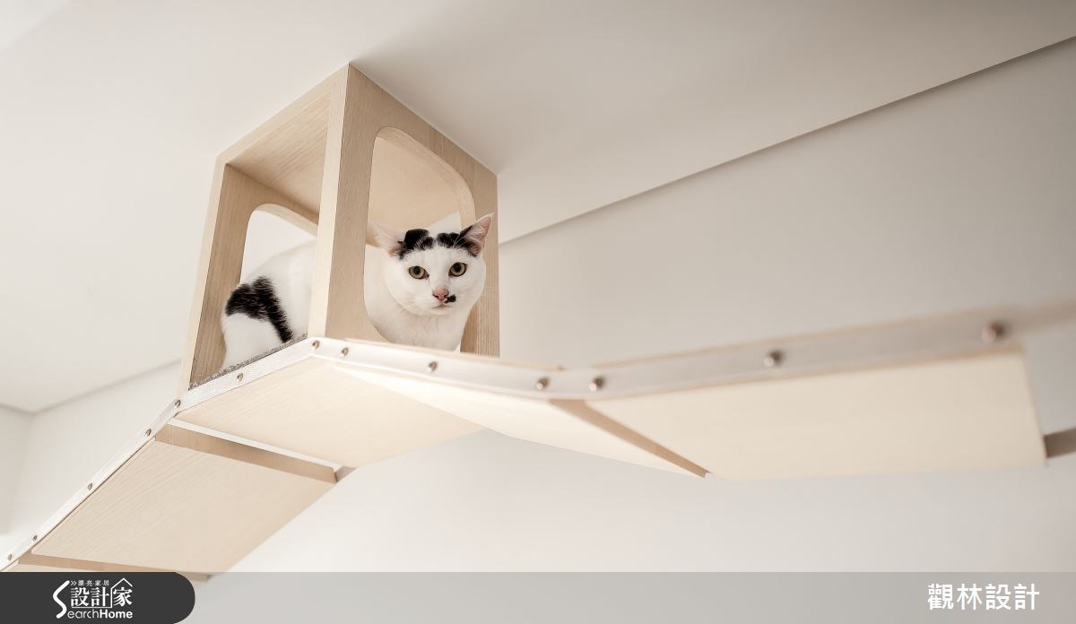 24坪新成屋(5年以下)＿休閒風寵物案例圖片＿觀林設計＿觀林_36之14
