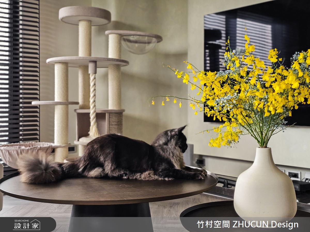 29坪新成屋(5年以下)＿現代風客廳寵物案例圖片＿竹村空間 ZHUCUN Design＿竹村_34 森.粼 Forest 29坪現代風之3