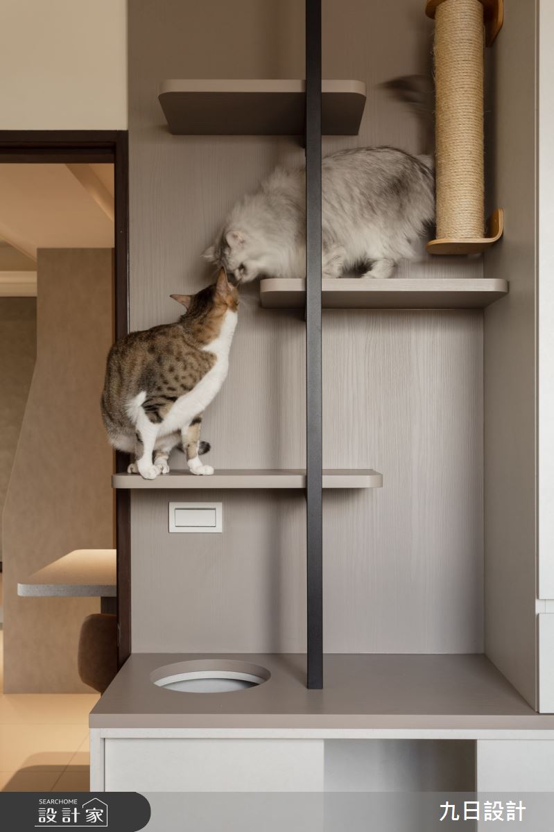 32坪新成屋(5年以下)＿現代風寵物客房多功能室案例圖片＿九日室內裝修設計＿九日_59之15