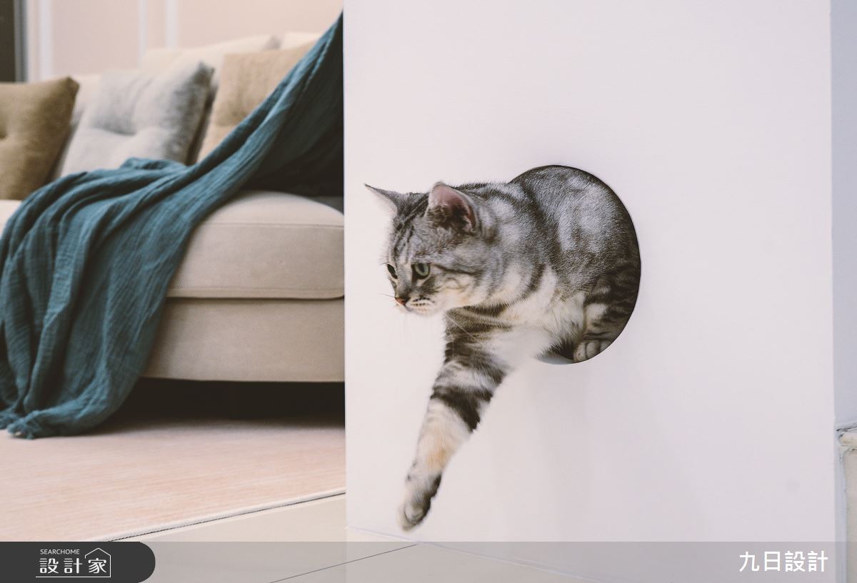 72坪新成屋(5年以下)＿輕奢風寵物案例圖片＿九日室內裝修設計＿九日_73之33
