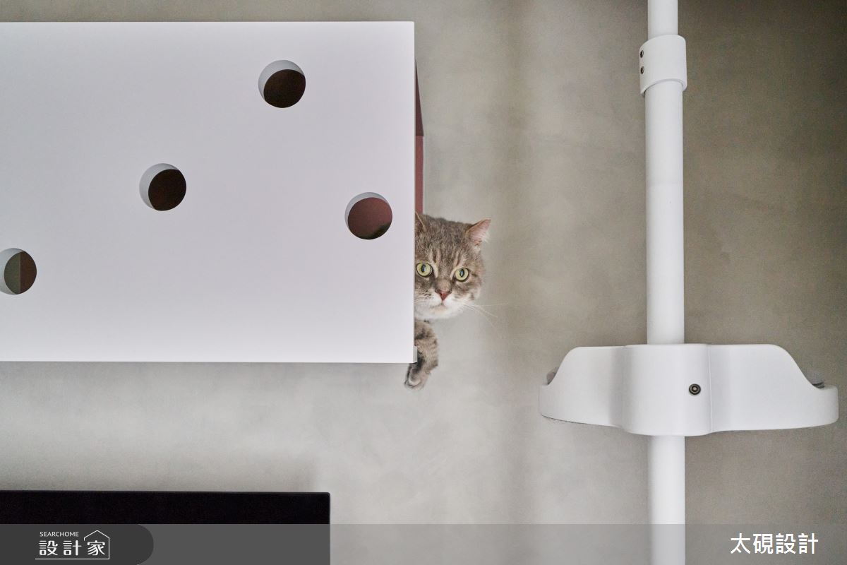 24坪新成屋(5年以下)＿現代風寵物案例圖片＿太硯室內裝修有限公司＿太硯_貓貓貓貓宅之12