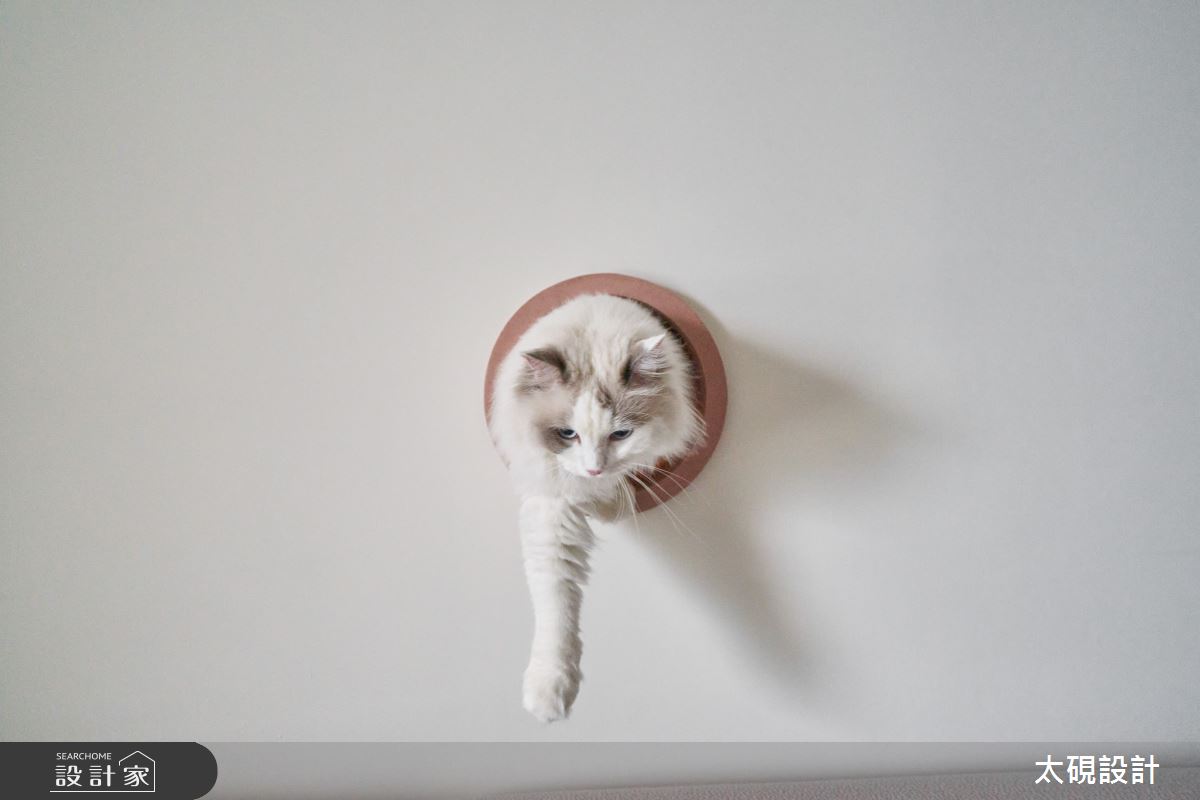 24坪新成屋(5年以下)＿現代風寵物案例圖片＿太硯室內裝修有限公司＿太硯_貓貓貓貓宅之32
