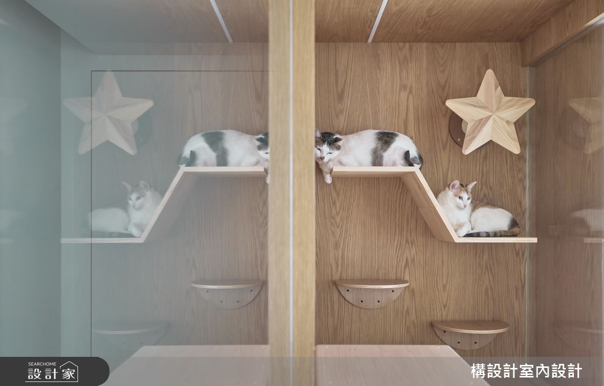 20坪新成屋(5年以下)＿現代風寵物案例圖片＿構設計＿構設計_貓森居所之3