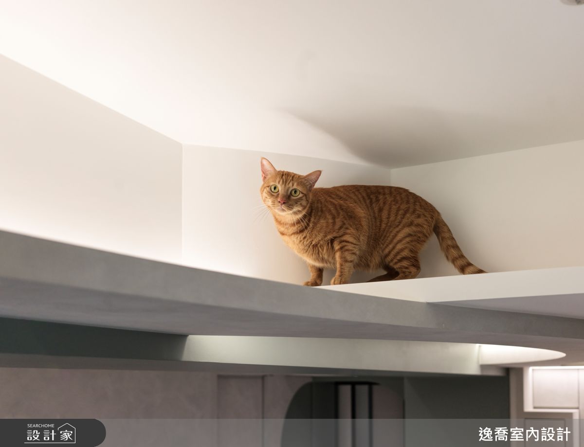 30坪中古屋(5~15年)＿現代風案例圖片＿逸喬室內設計＿逸喬_55之20