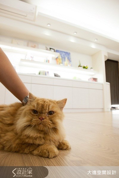 35坪中古屋(5~15年)＿北歐風案例圖片＿大進空間設計＿大進_04之12