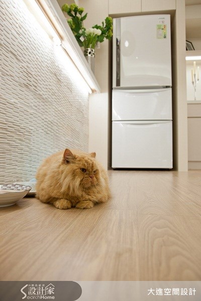 35坪中古屋(5~15年)＿北歐風案例圖片＿大進空間設計＿大進_04之16