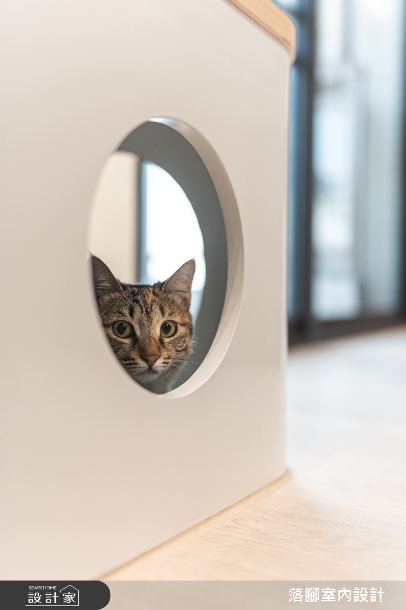 22坪新成屋(5年以下)＿現代風寵物案例圖片＿落腳室內設計＿落腳_青空溫室之14