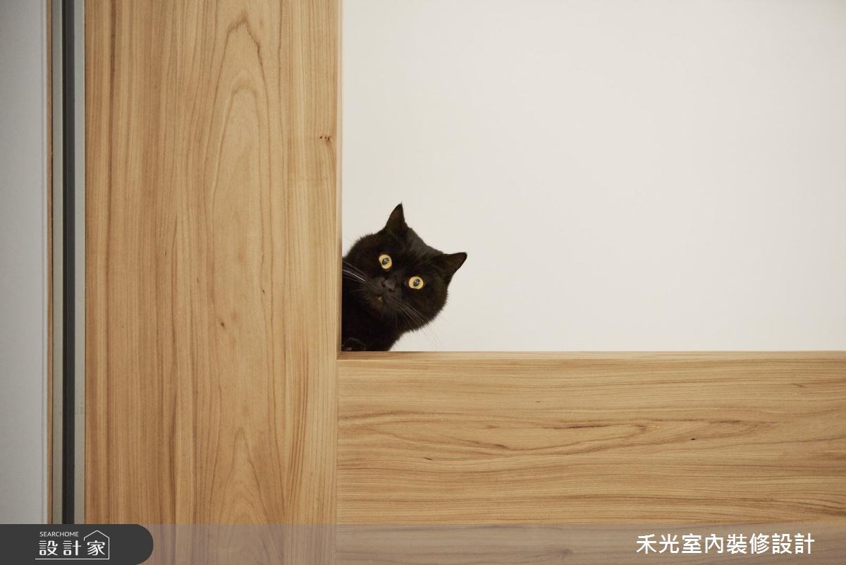 27坪新成屋(5年以下)＿北歐風寵物案例圖片＿禾光室內裝修設計有限公司＿禾光_HAPPY CAT COZY HOME之17