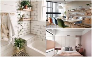 2020 風水佈局大公開！加薪、好桃花、求平安，請你跟著這樣佈置居家_視覺圖