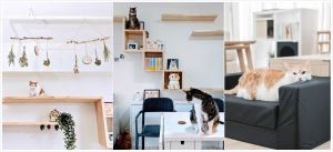 貓界網紅黃阿瑪的「後宮」搬家啦！租屋族養寵物、輕裝修、製作貓跳台、避免糾紛必看！_視覺圖