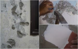 【關你壁事II】壁癌纏身怎麼辦？專家教你 DIY 處理壁癌，還給你健康的家_視覺圖