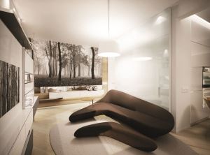 【摩登居家空間】大自然入室 單純溫馨的烏克蘭機能小屋_視覺圖